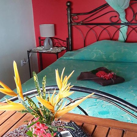 Bungalow Mangifera Proche De La Plage Le Diamant Zewnętrze zdjęcie