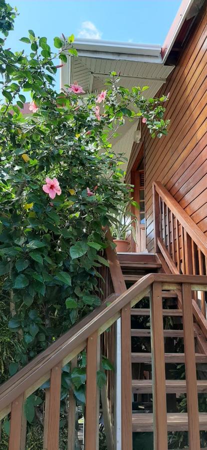 Bungalow Mangifera Proche De La Plage Le Diamant Zewnętrze zdjęcie
