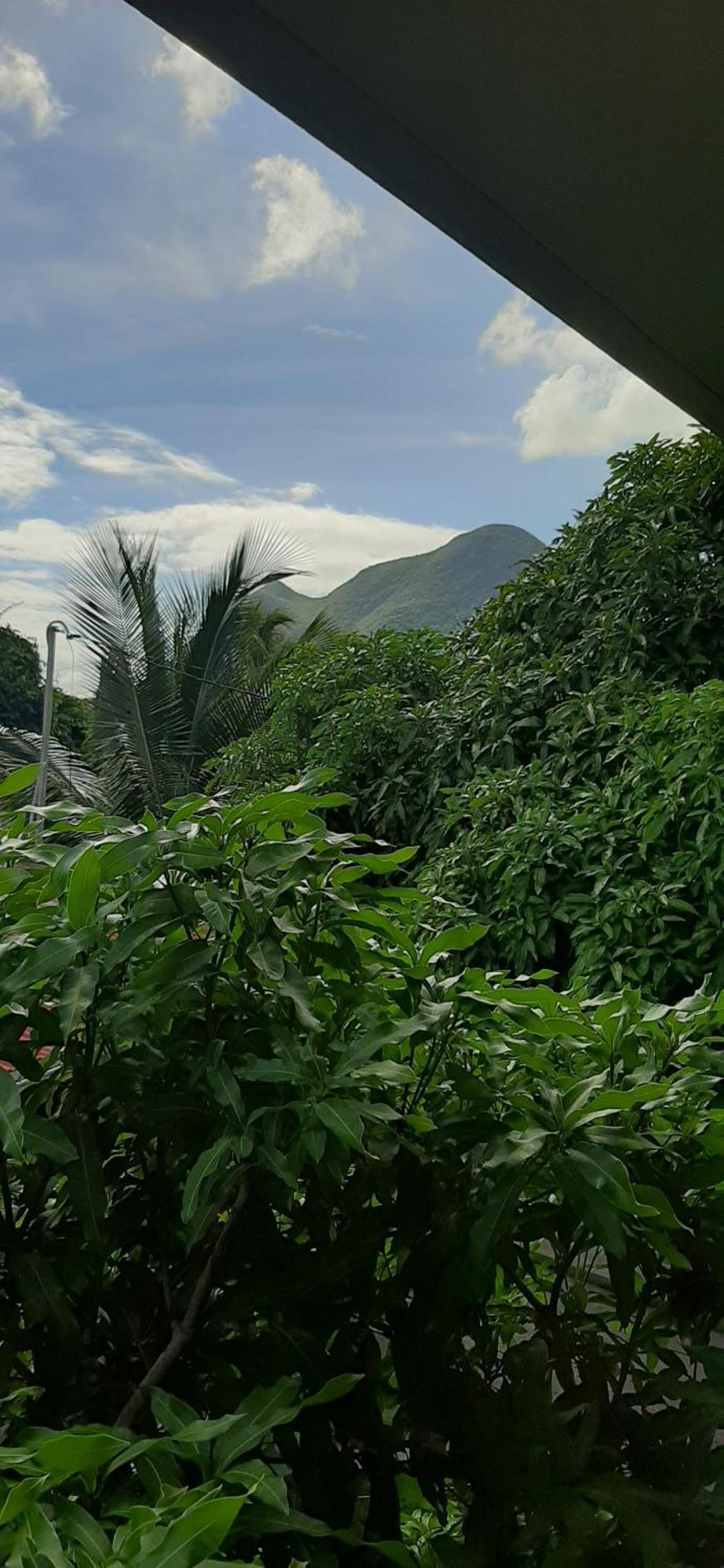 Bungalow Mangifera Proche De La Plage Le Diamant Zewnętrze zdjęcie